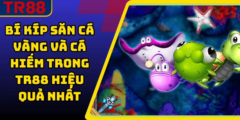 Bí kíp săn cá vàng và cá hiếm trong TR88