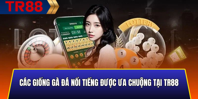 Các giống gà đá nổi tiếng được ưa chuộng tại TR88