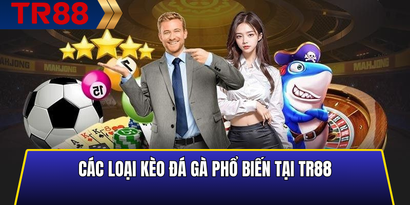 Cách Đọc Kèo Đá Gà TR88 Chuẩn Xác Dành Cho Người Mới 4 Các loại kèo đá gà phổ biến tại TR88