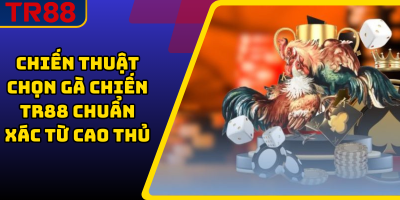 Chiến Thuật Chọn Gà Chiến TR88 Chuẩn Xác Từ Cao Thủ