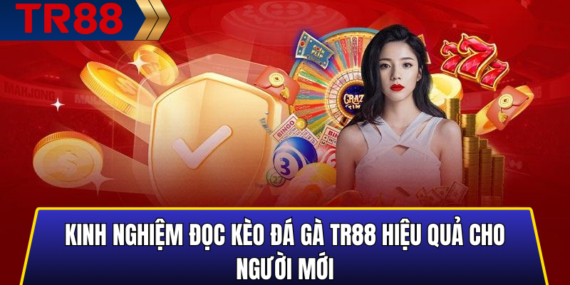 Cách Đọc Kèo Đá Gà TR88 Chuẩn Xác Dành Cho Người Mới 6 Kinh nghiệm đọc kèo đá gà TR88 hiệu quả cho người mới