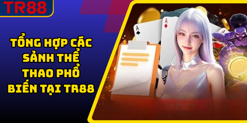 Tổng hợp các sảnh thể thao phổ biến tại TR88