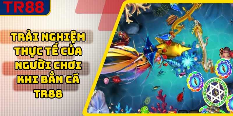 Trải nghiệm thực tế của người chơi khi bắn cá TR88