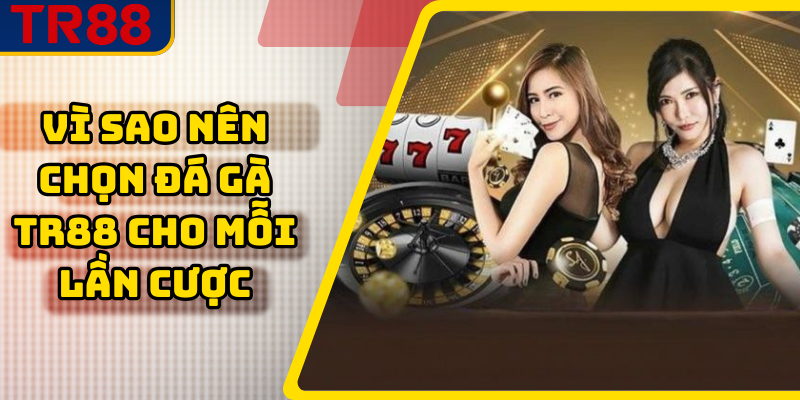 Vì sao nên chọn đá gà TR88 cho mỗi lần cược